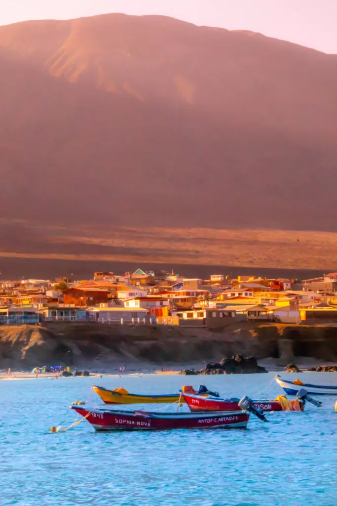 Vacunatorios-en-antofagasta-3